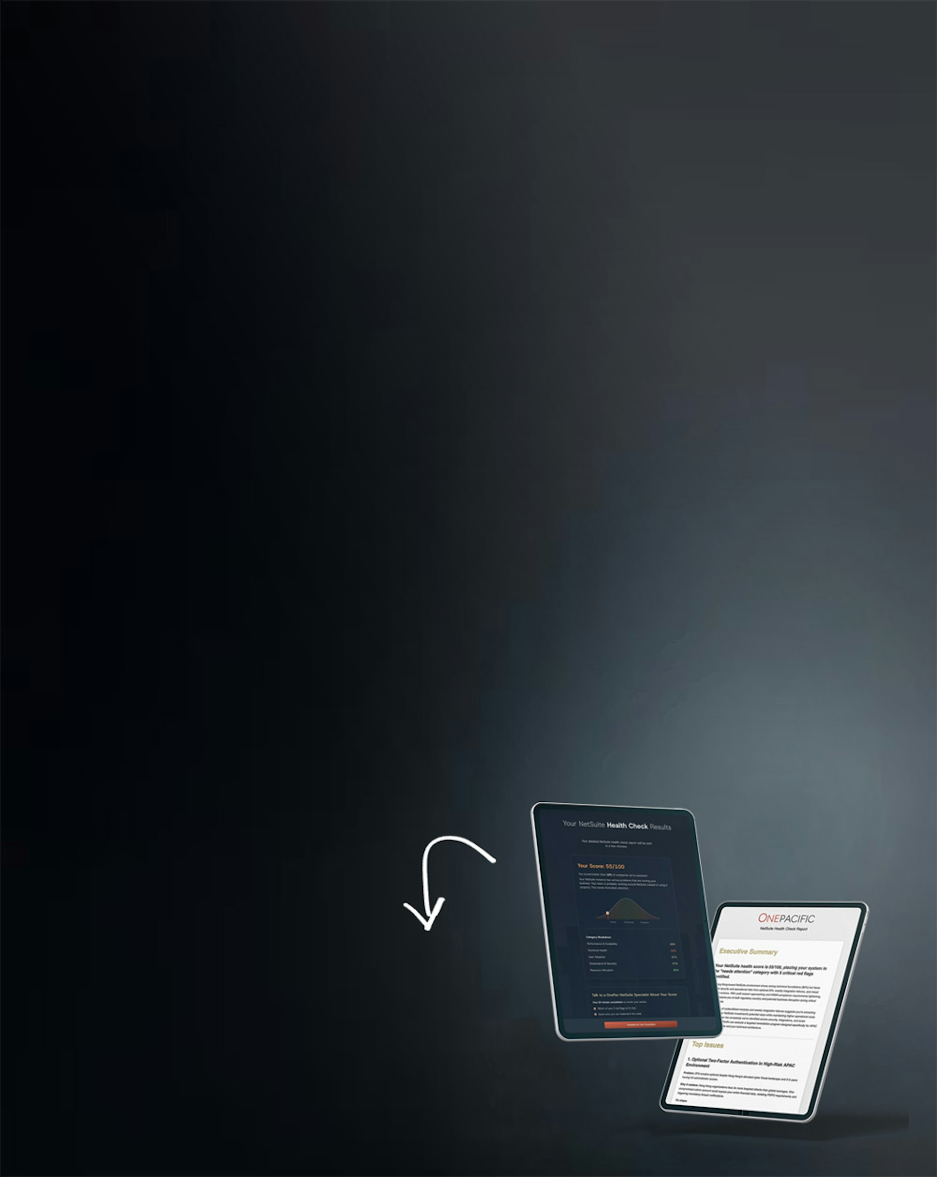 Health Check NetSuite