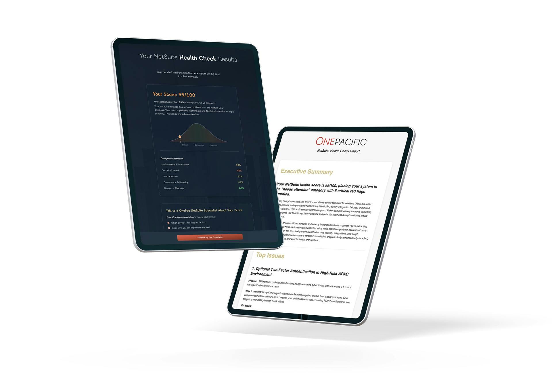 netsuite health check