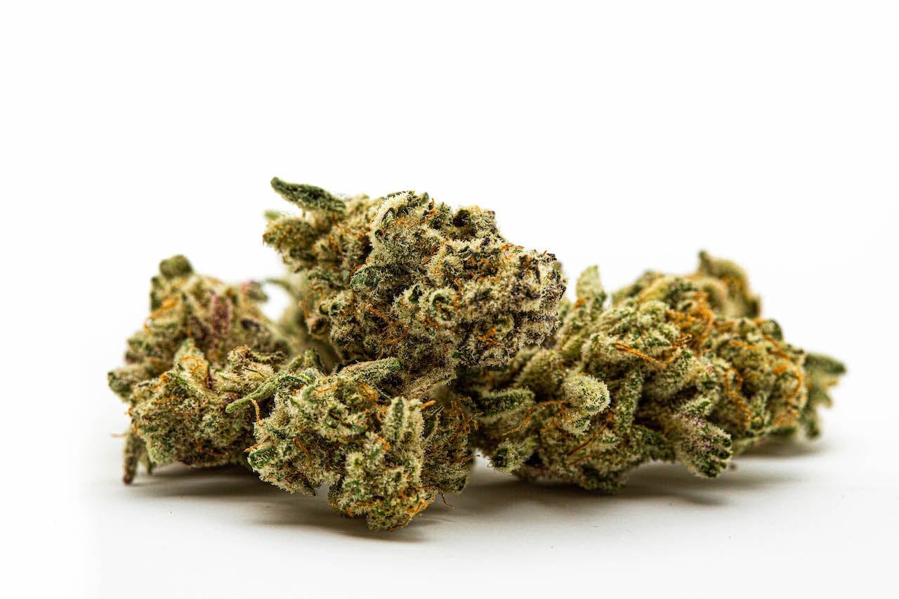 One Plant Dispensaries