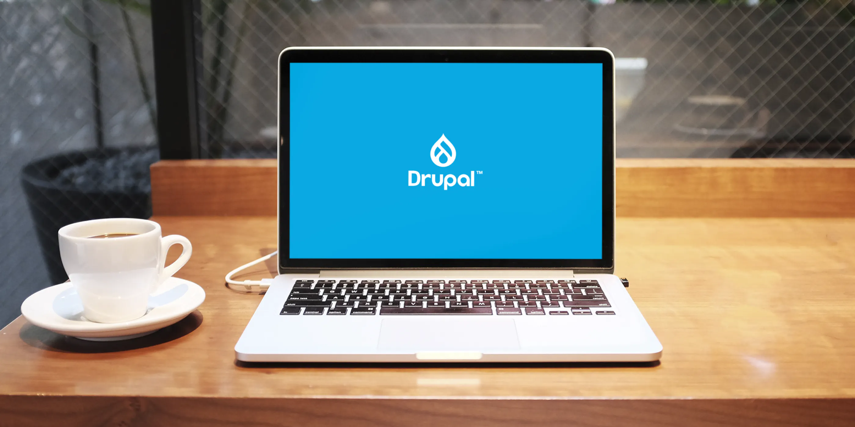 Drupal als Headless CMS