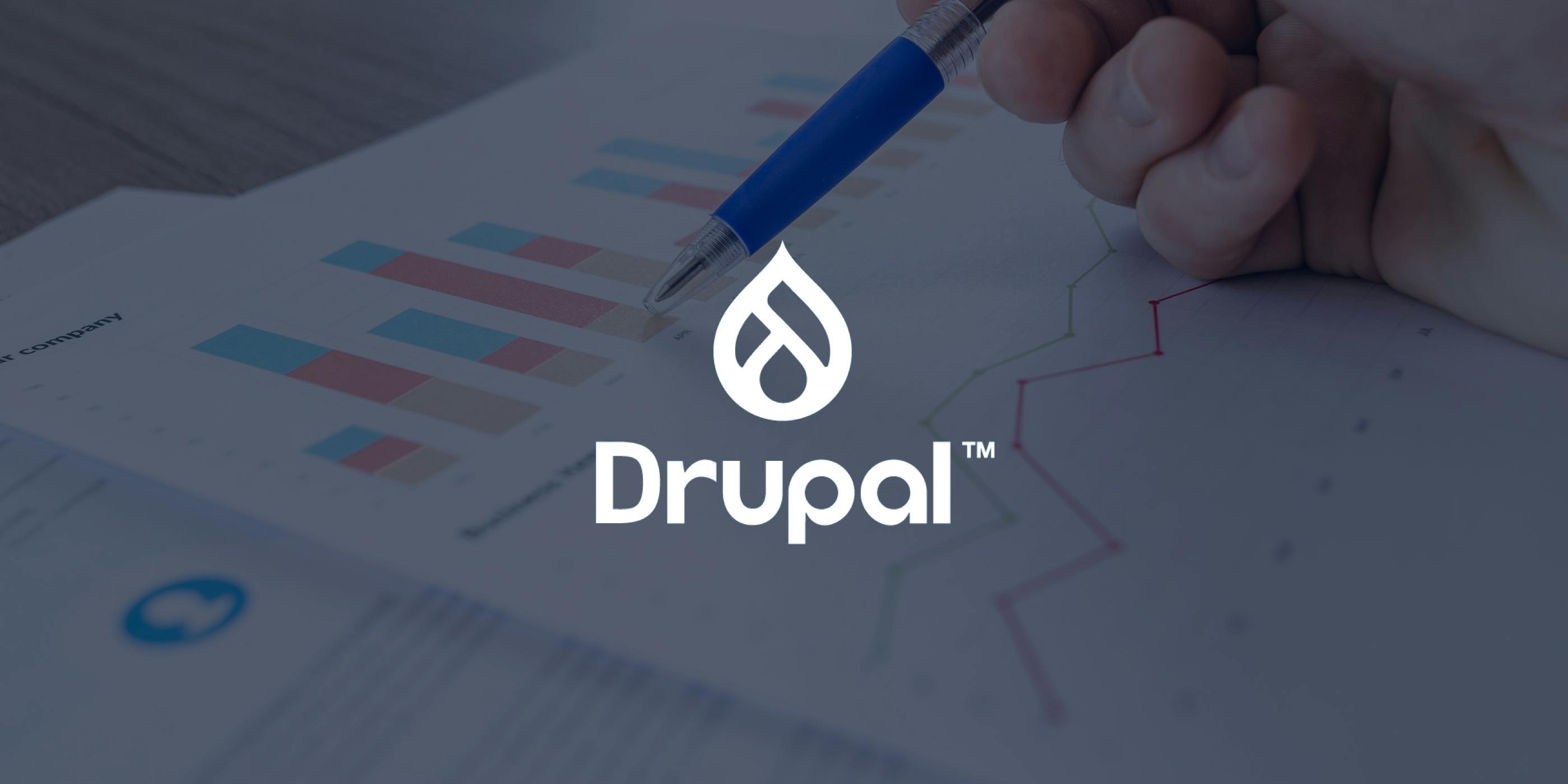 drupal business survey