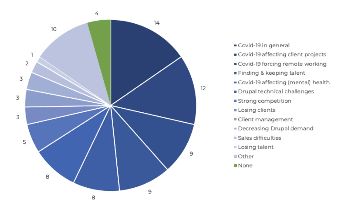 Drupal Business Survey 2020 Greatest Challenges