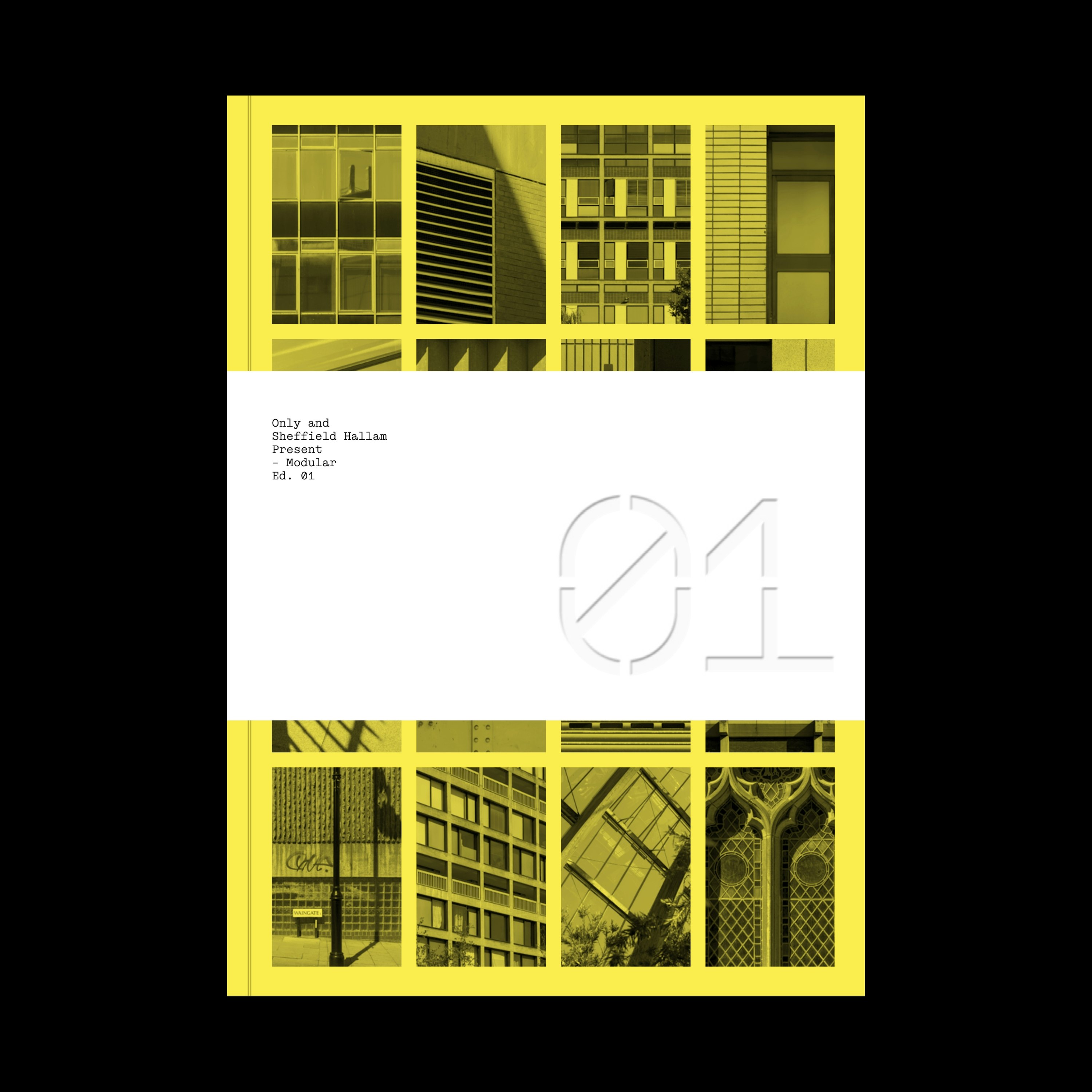 Front cover of the Modular Type book