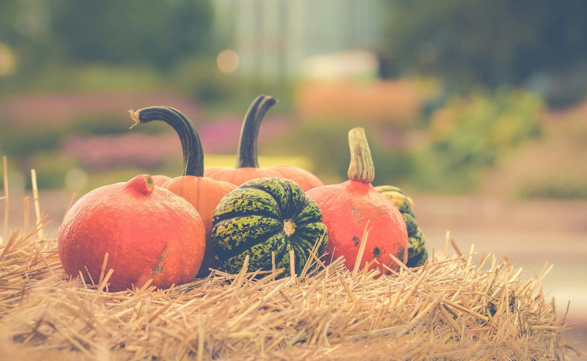 8 of the Best October Team Building Ideas