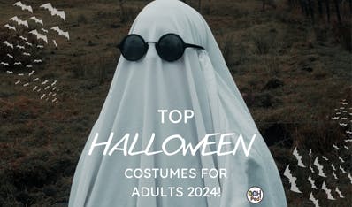 Top Adult Halloween Costumes 2024 