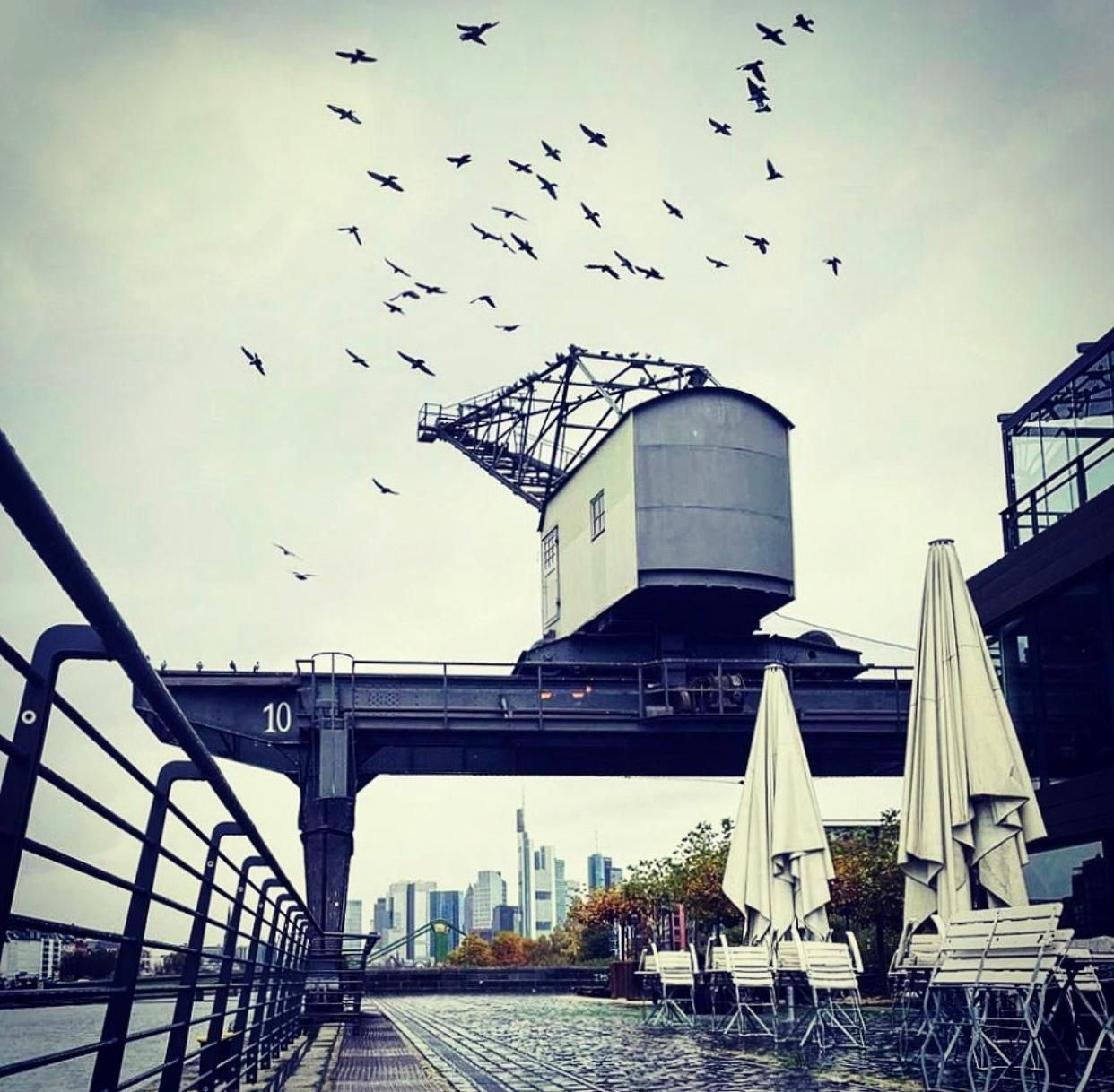 Ansicht des Außengartens1