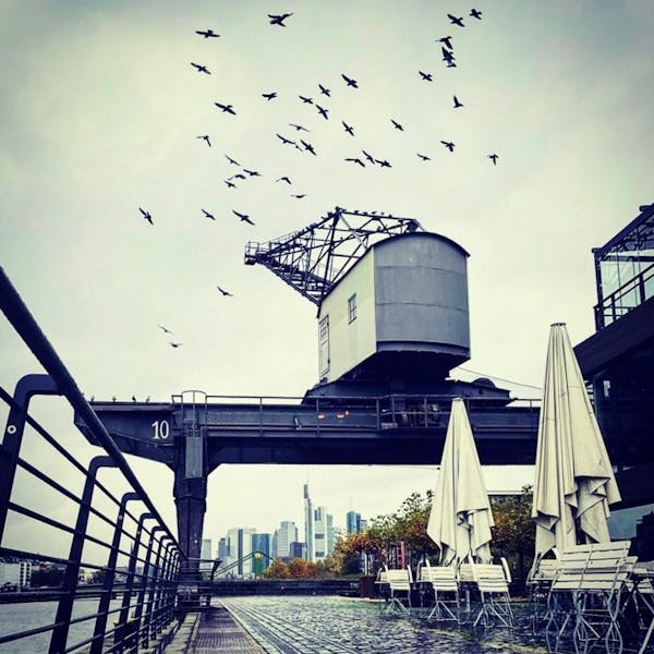 Ansicht des Außengartens1