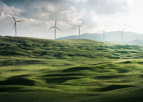 Wind farms produce renewable electricity, but even that is not completely emission-free.
