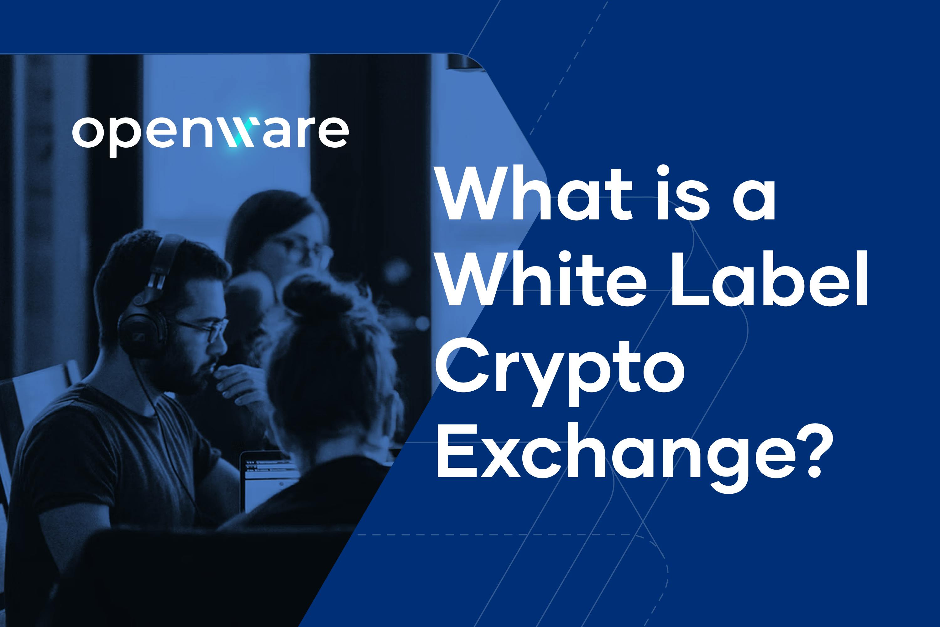 Banner Image showing the words "What is a White Label Crypto Exchange?"