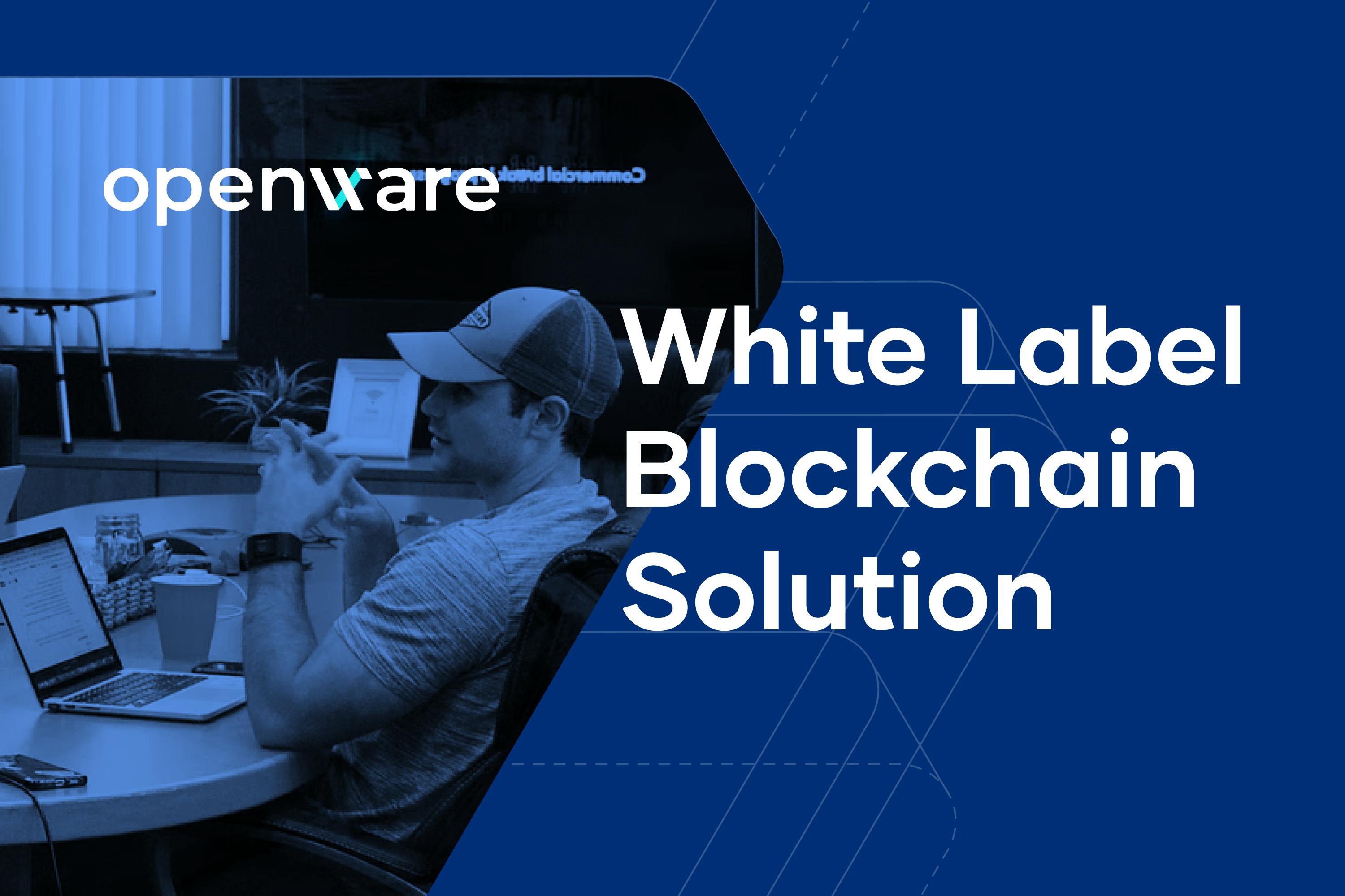 Banner Image showing the words "White Label Blockchain Solution"