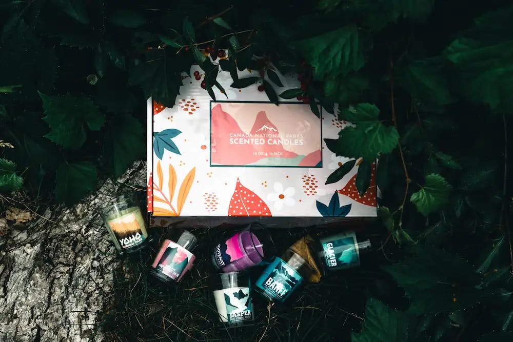 Yeşillikler içinde bulunan kozmetik ürünler