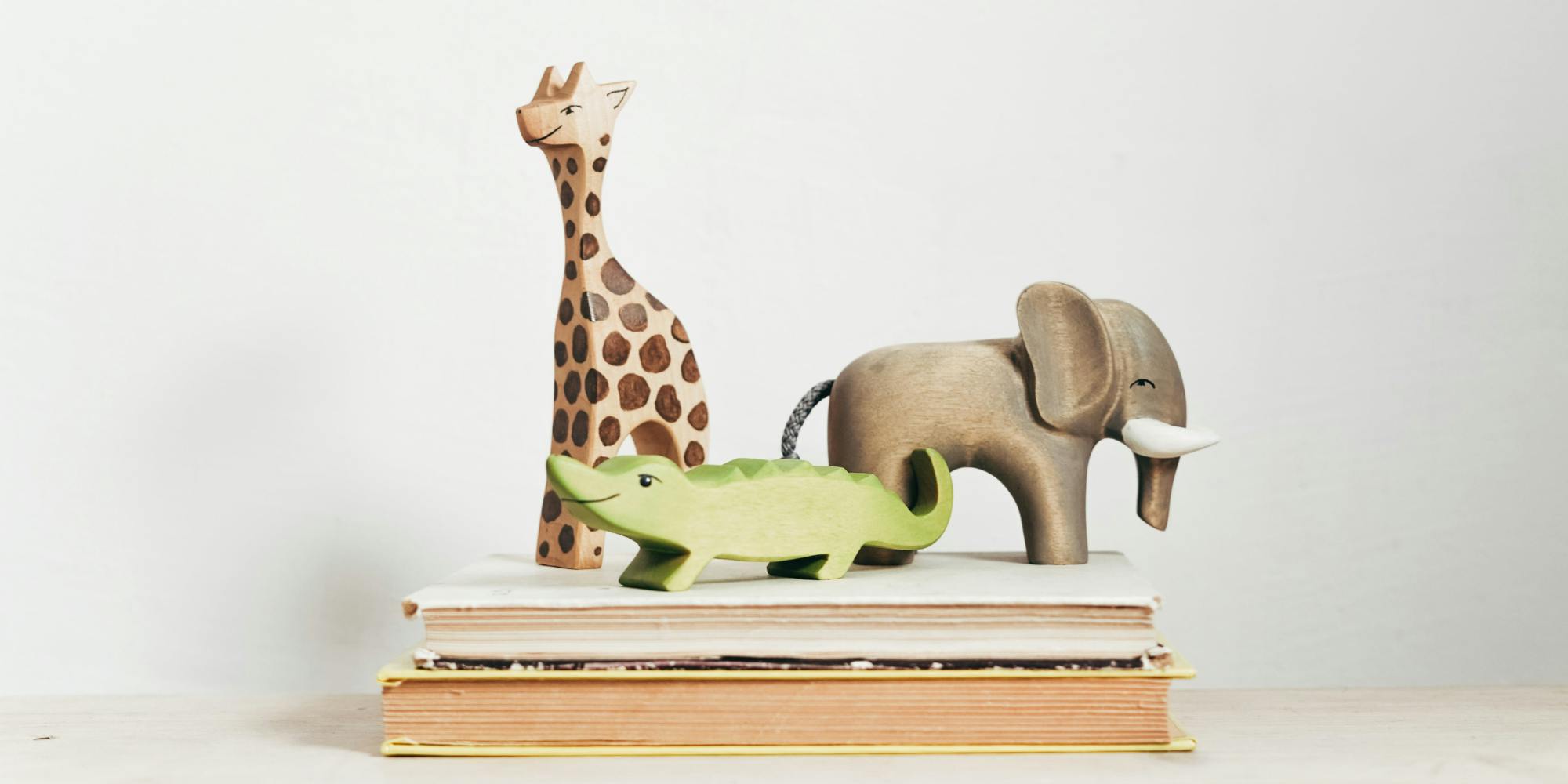 Kitapların üstünde oyuncak hayvanlar