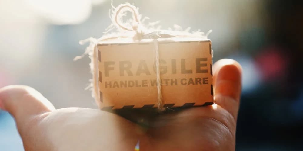 Kırılgan paket