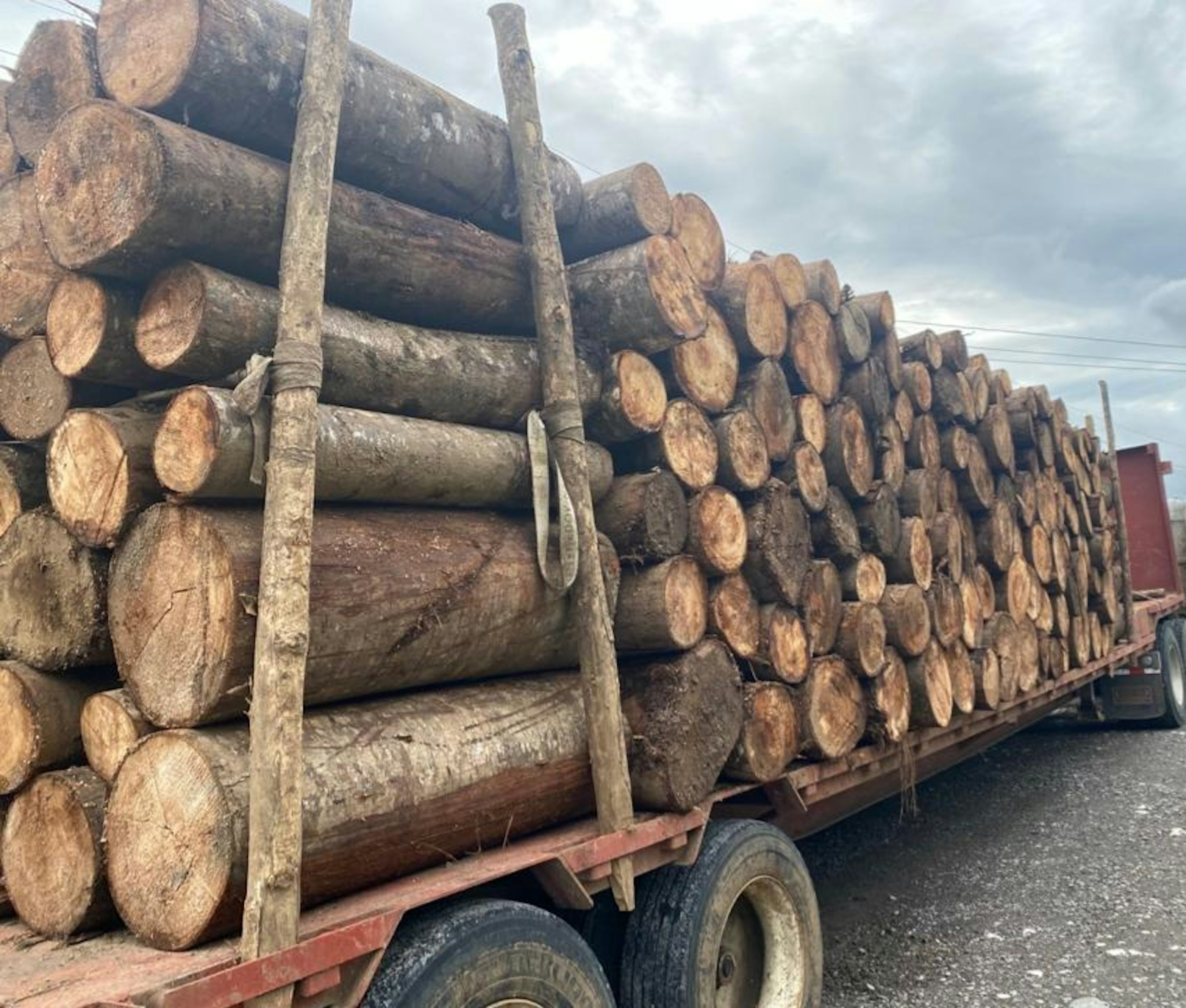 Balsa Logs On Back Of Truck