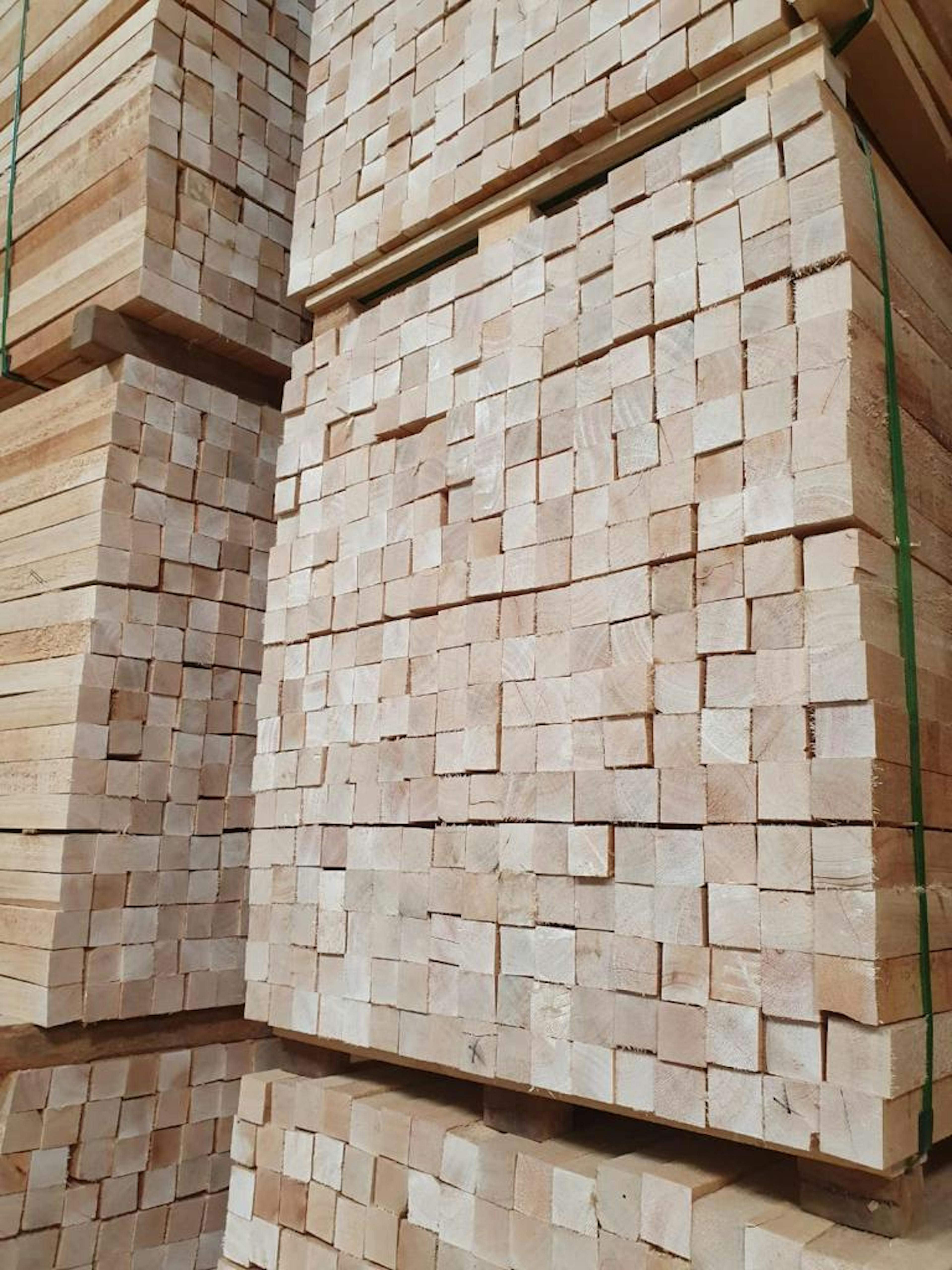 Balsa