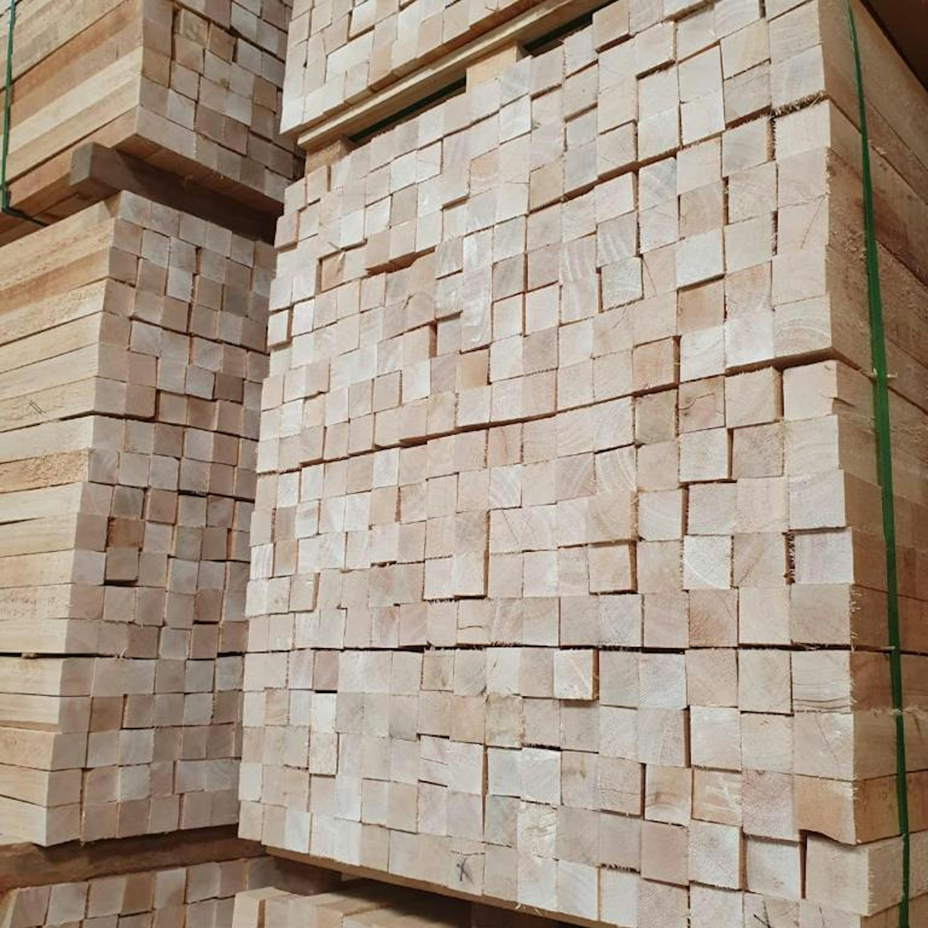 Balsa