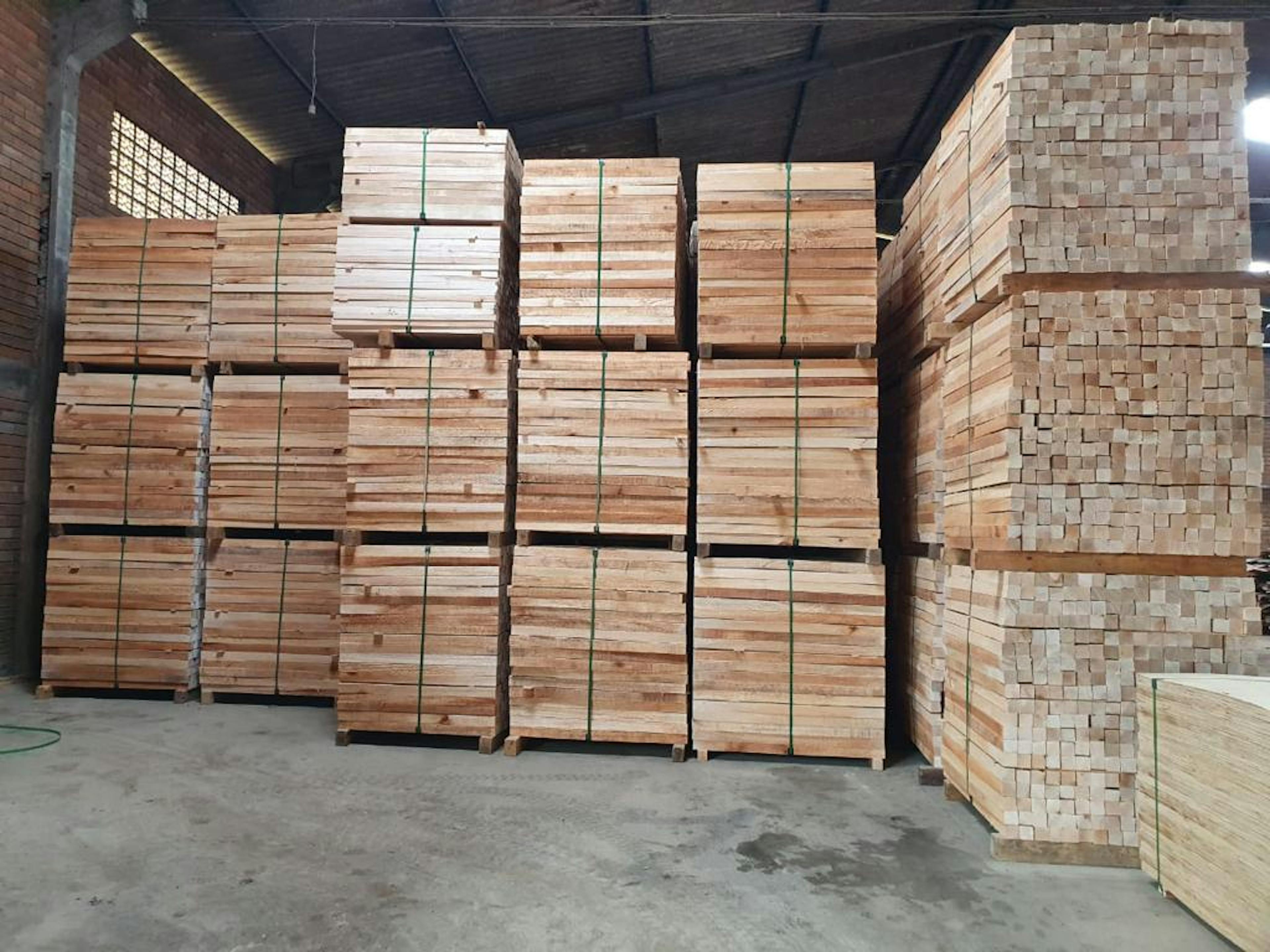 Balsa