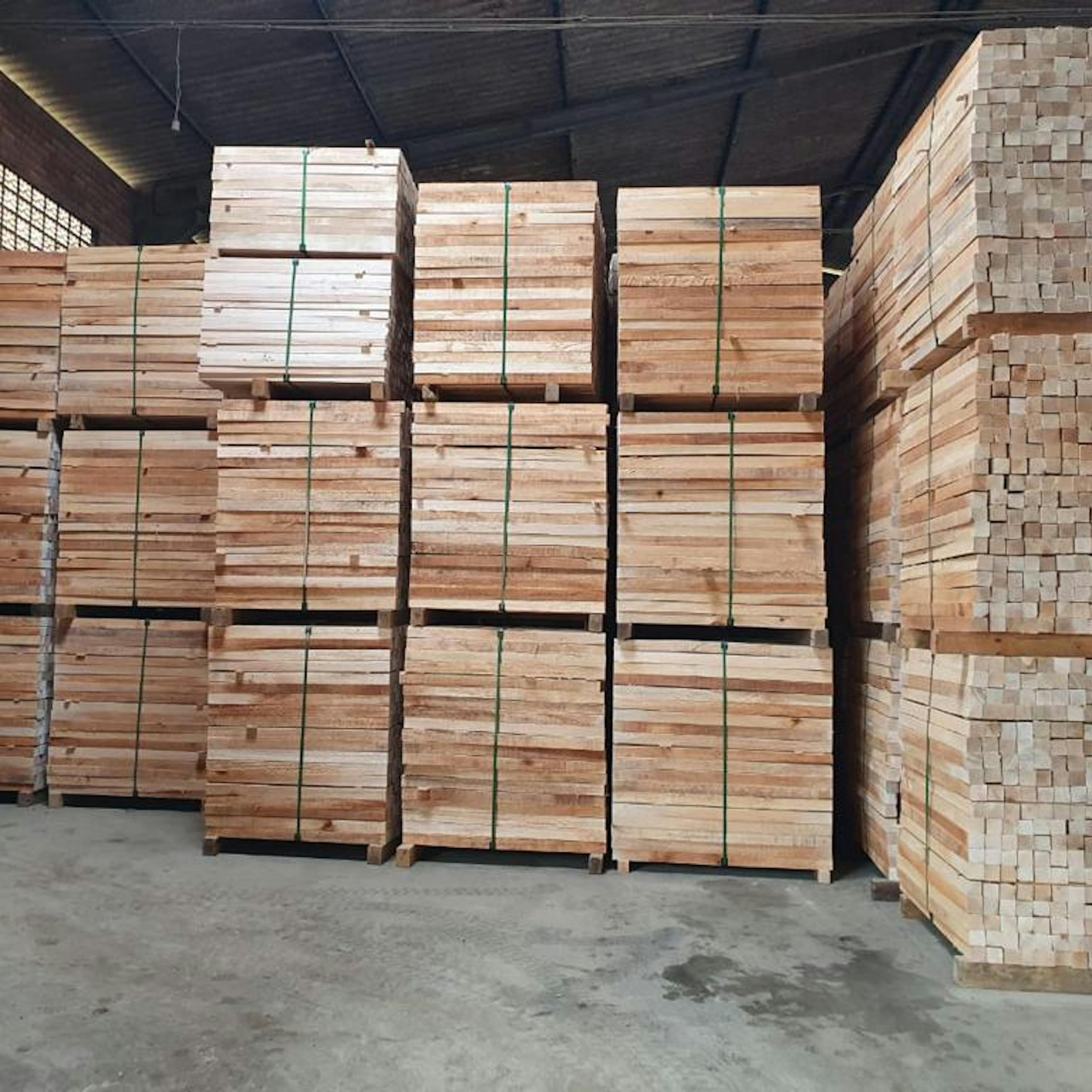Balsa