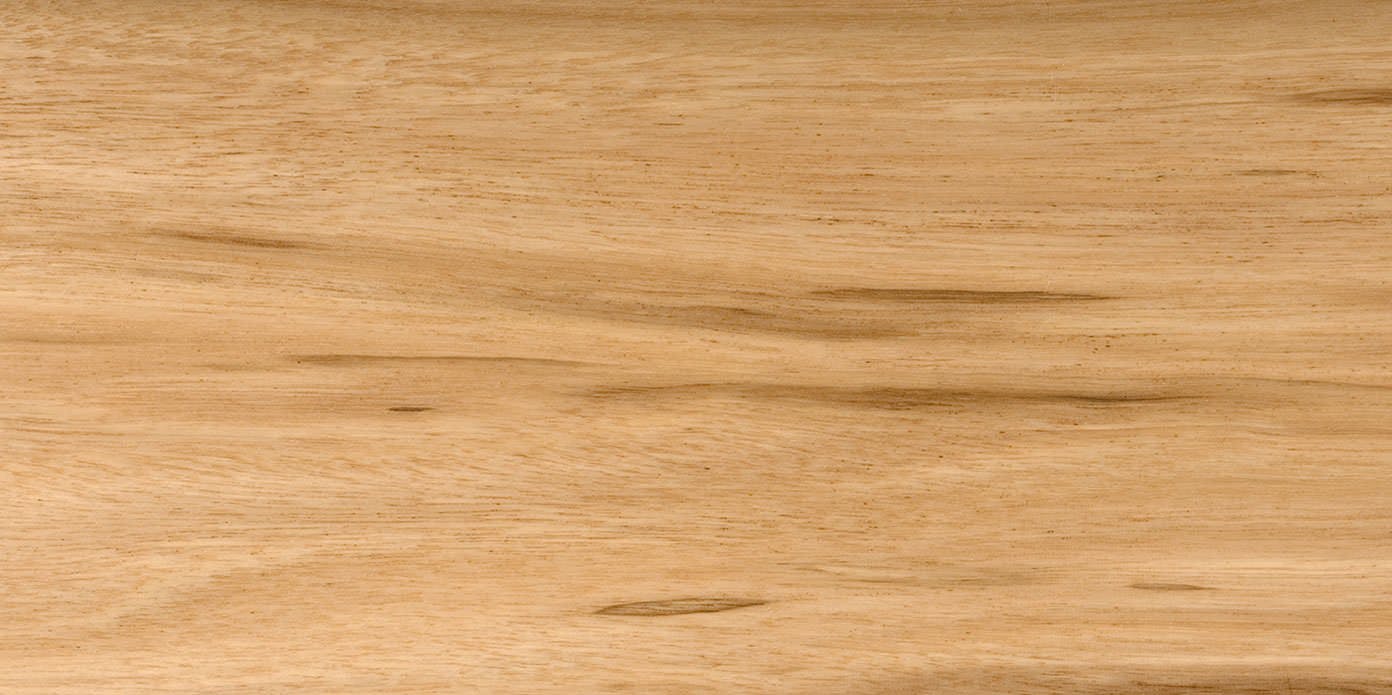 Tallowwood swatch