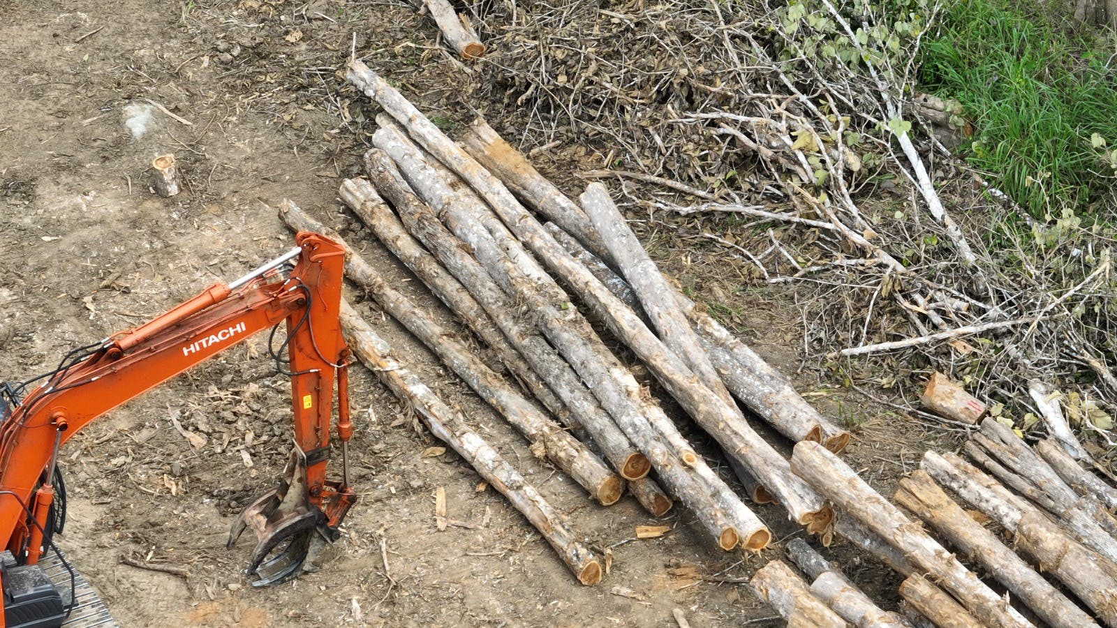 Malaysian Teak gallery image