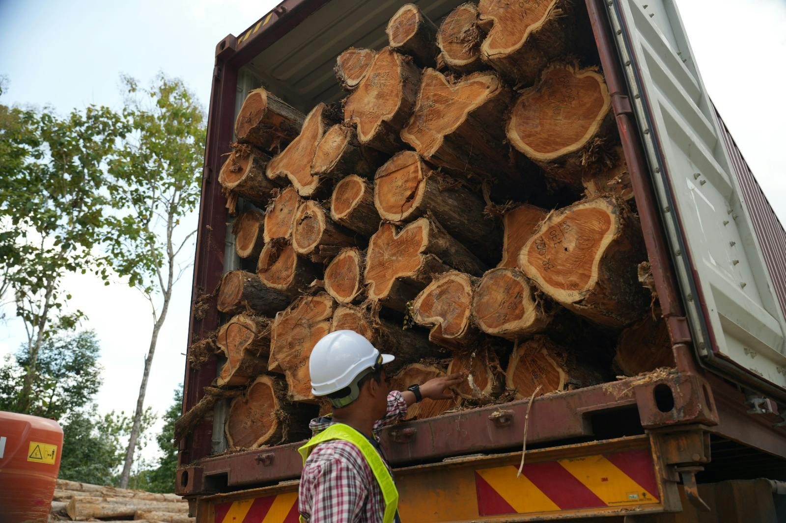 Malaysian Teak gallery image