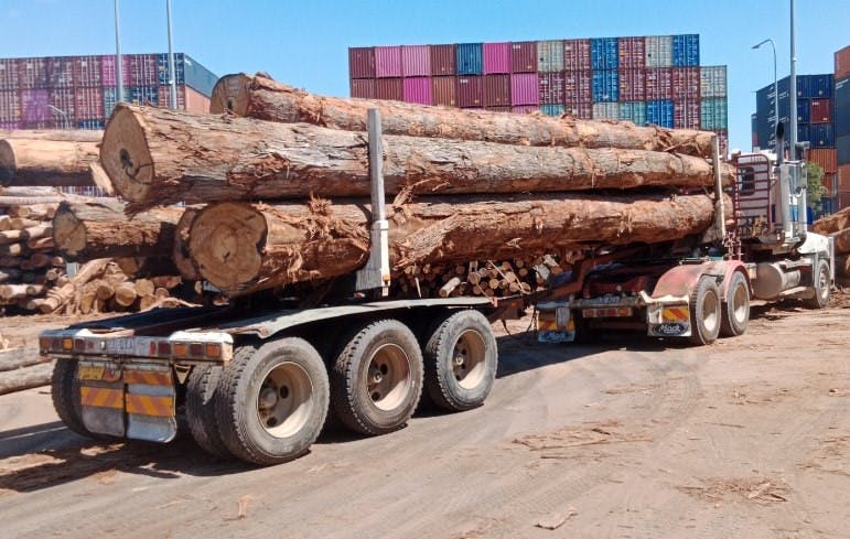 Coastal Blackbutt gallery image