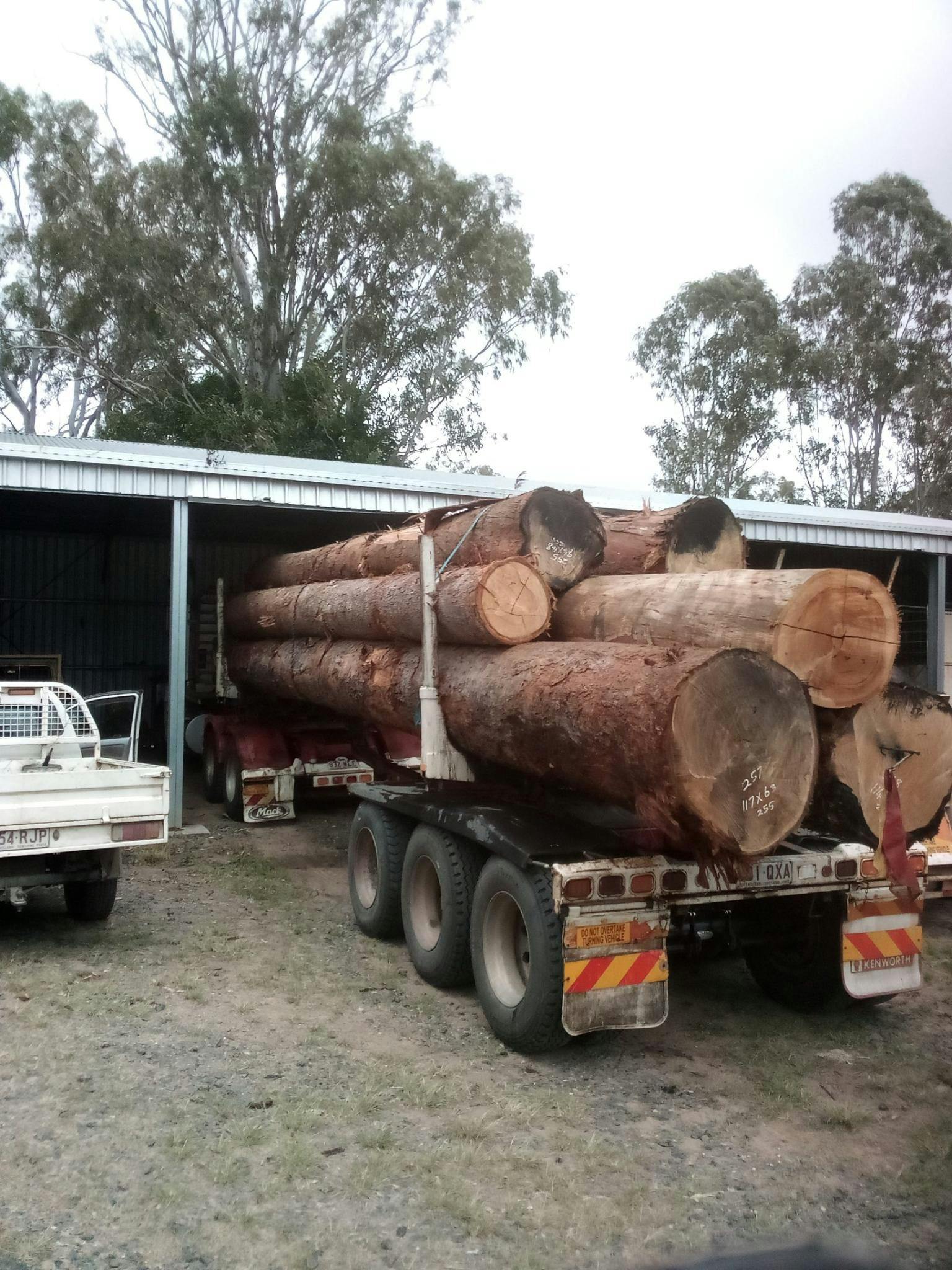 Coastal Blackbutt gallery image