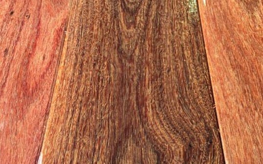 Cooktown Ironwood swatch