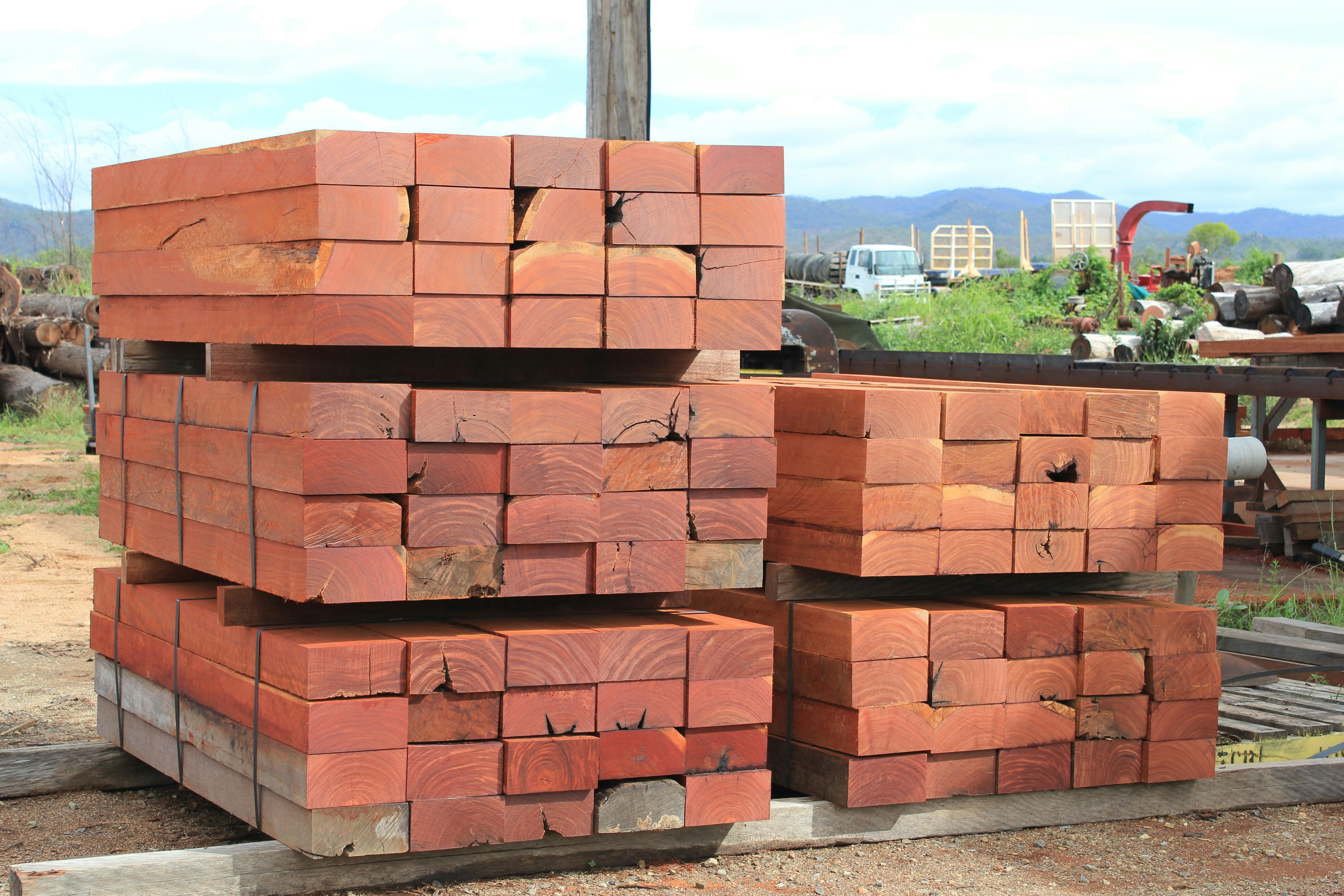 Cooktown Ironwood gallery image