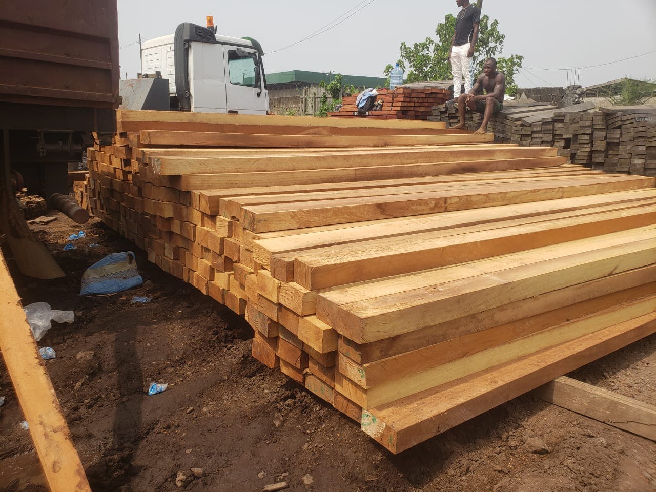 Iroko gallery image