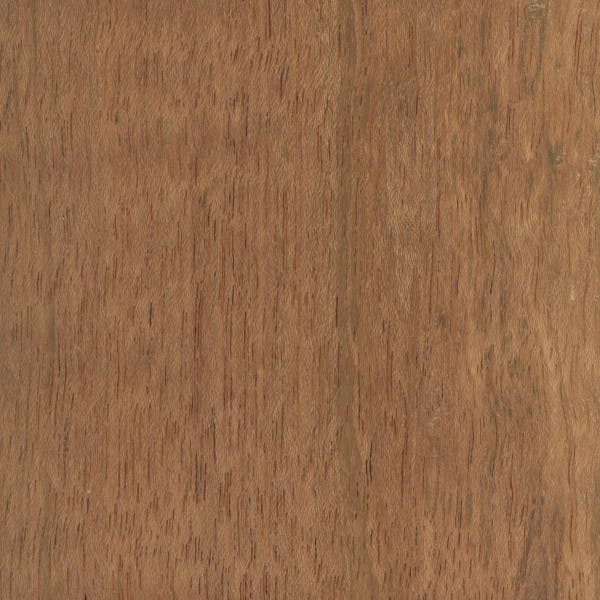 Jatoba swatch