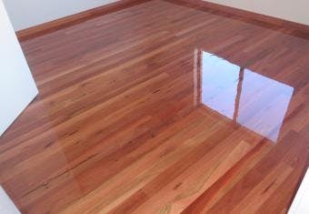 Native Karri gallery image