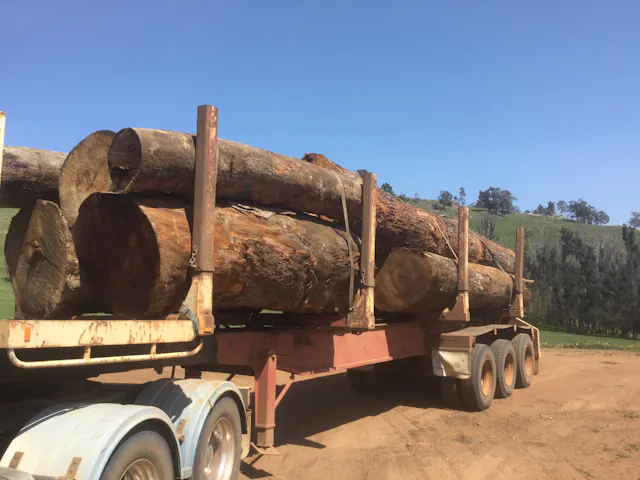 A Selection of Australian Timber Species | Now Available | OPS Forestry