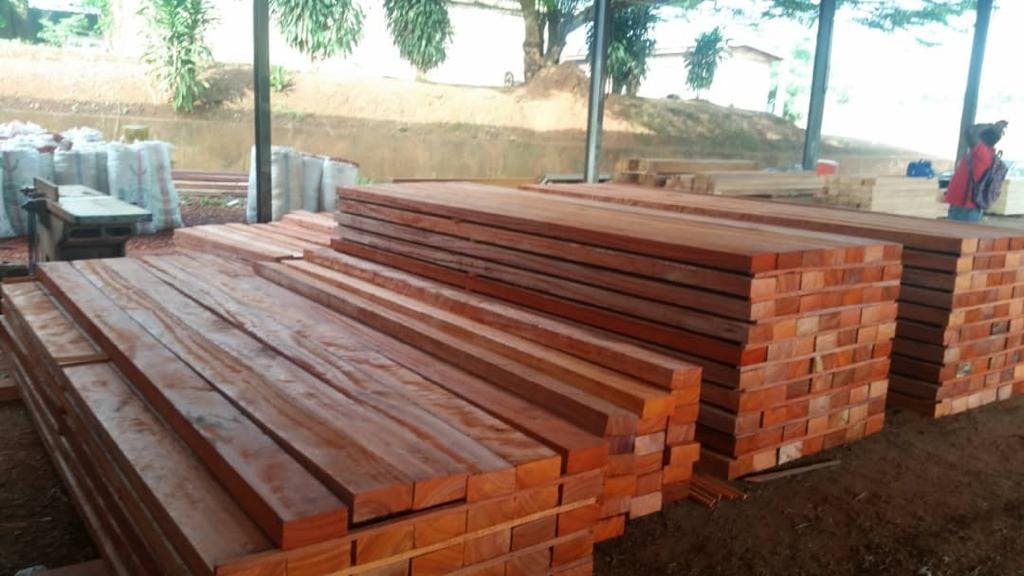 Padauk gallery image