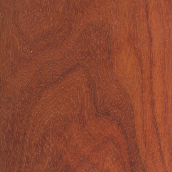 Padauk swatch