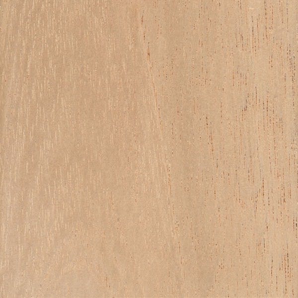 Spanish Cedar swatch
