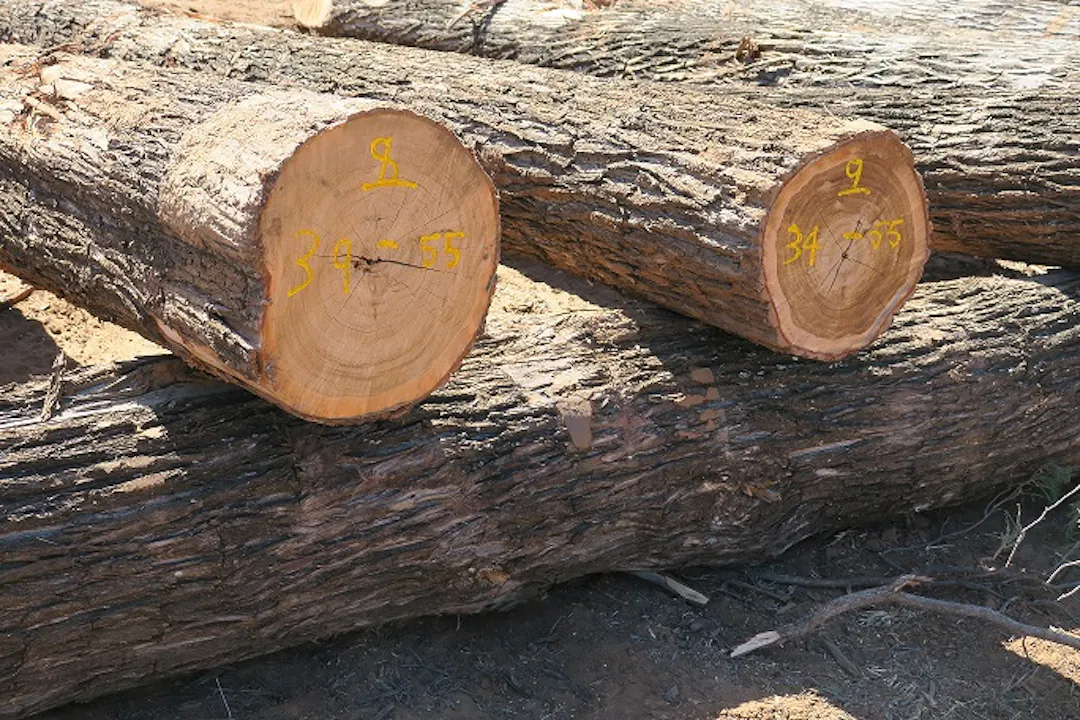 Timber Species | Global Hardwood Collection | OPS Forestry