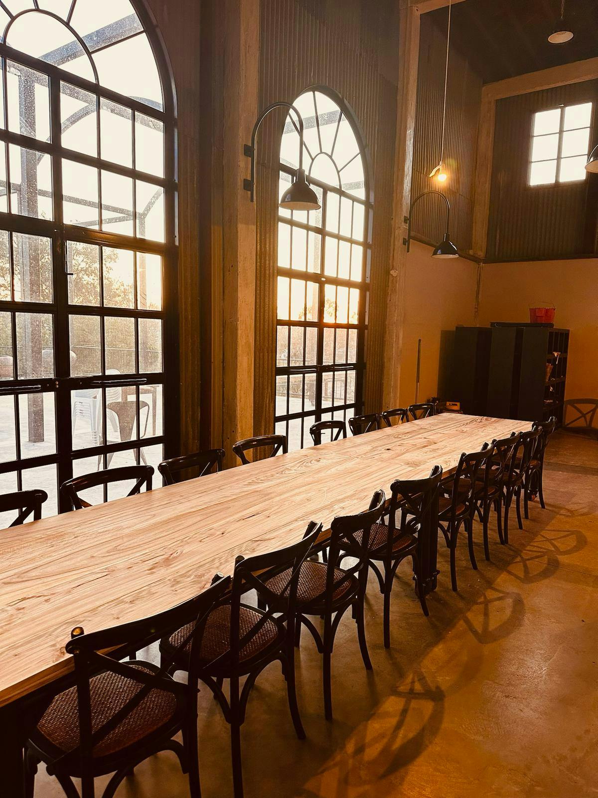 Camphor Laurel gallery image