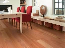 Sydney Blue Gum gallery image