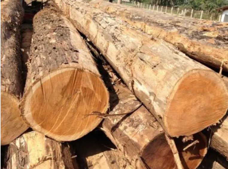 Teak FEQ gallery image