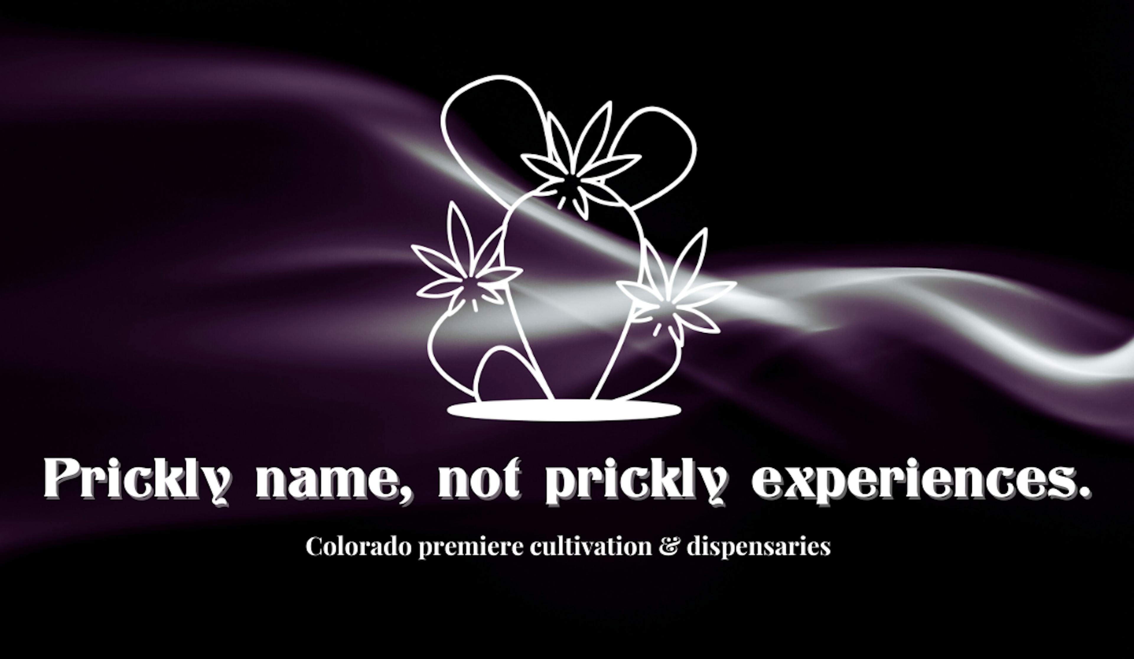 Opuntia Cannabis logo with Prickly name, not prickly experiences tagline below on a black background with smoke.