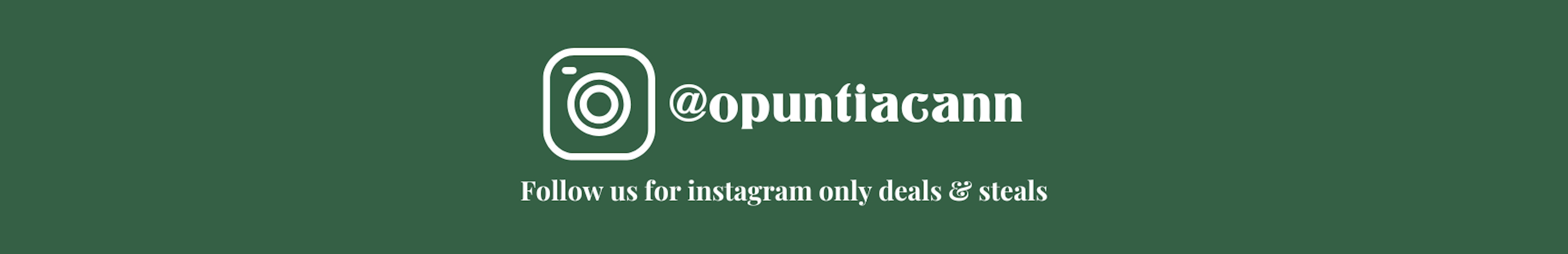 Instagram logo with @opuntiacann handle on a green background. Follow us for instagram only steals & deals in white text.