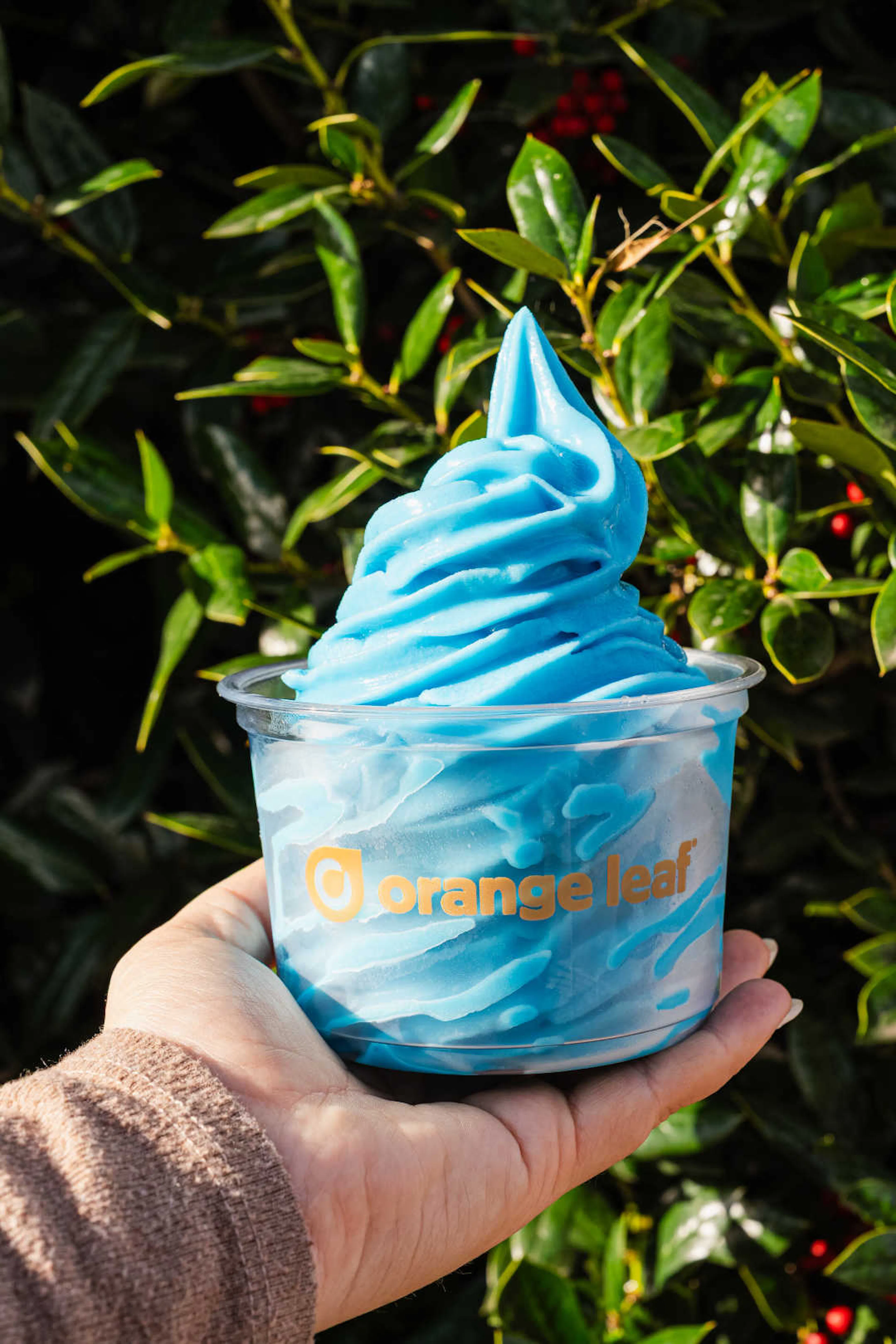 Blue Island Yogurt in a cup