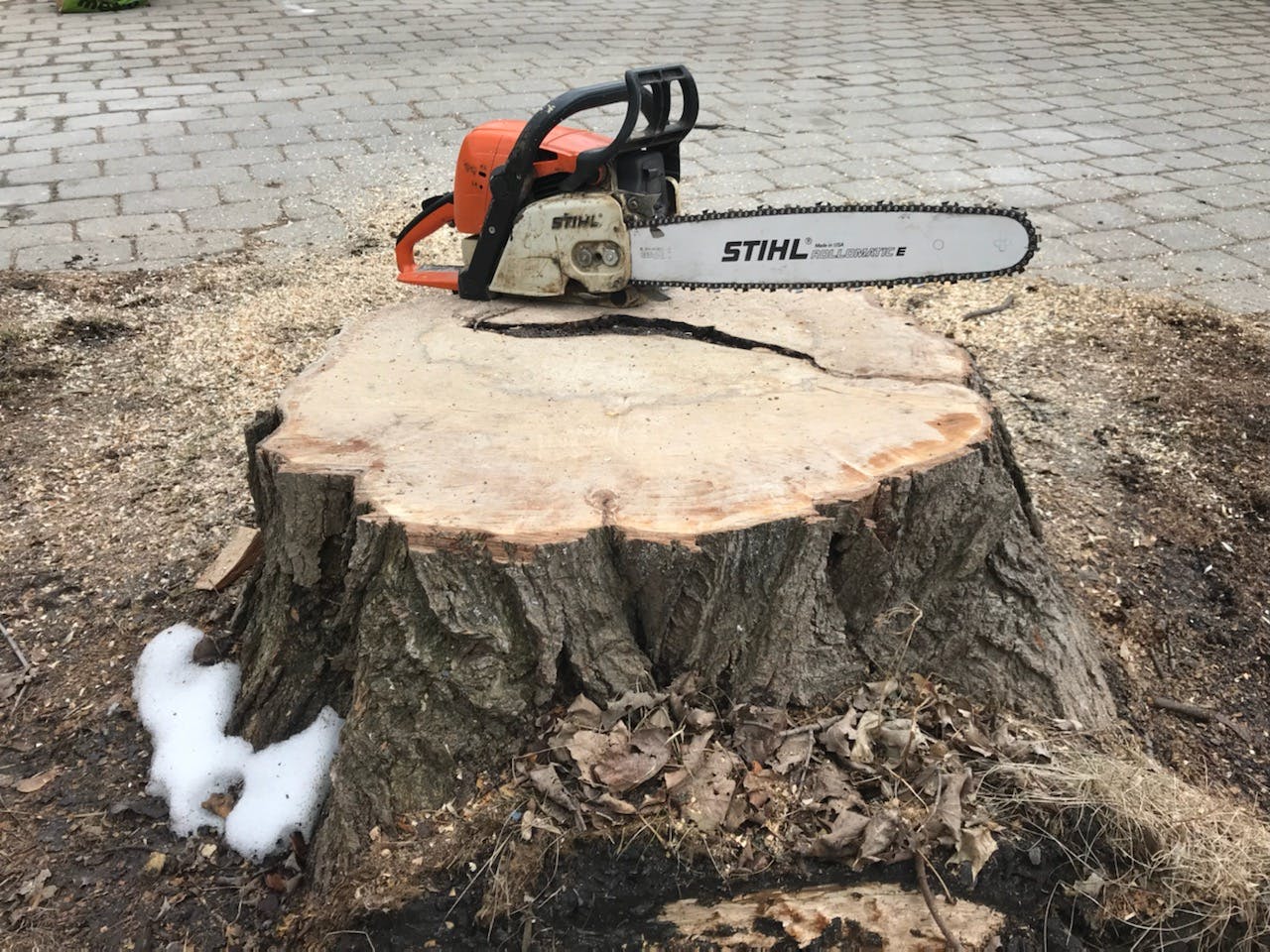 Tree Stump Service
