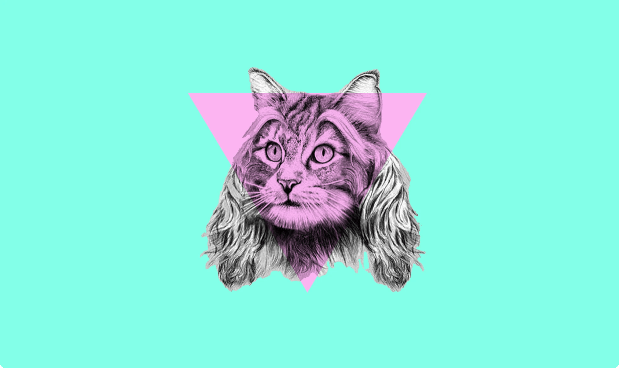 Hyperballad Music Cat Icon image
