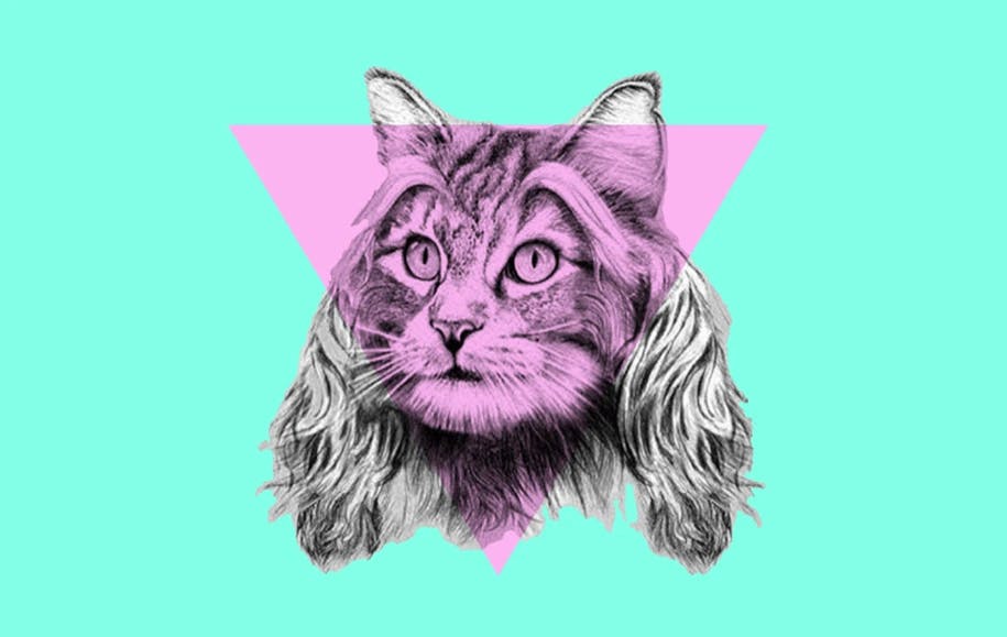 Hyperballad Music Icon graphic with cat