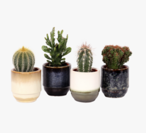 Vases, Pots, Bowls and Storage sets #2 