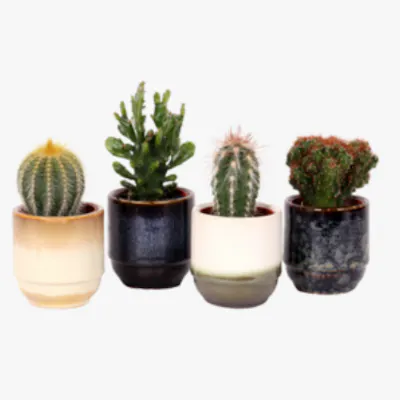 Vases, Pots, Bowls and Storage sets #2