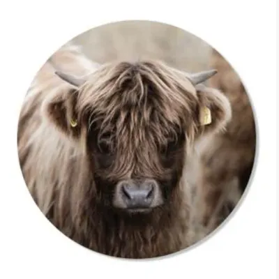 Pimp it up with Wall Art! #2 