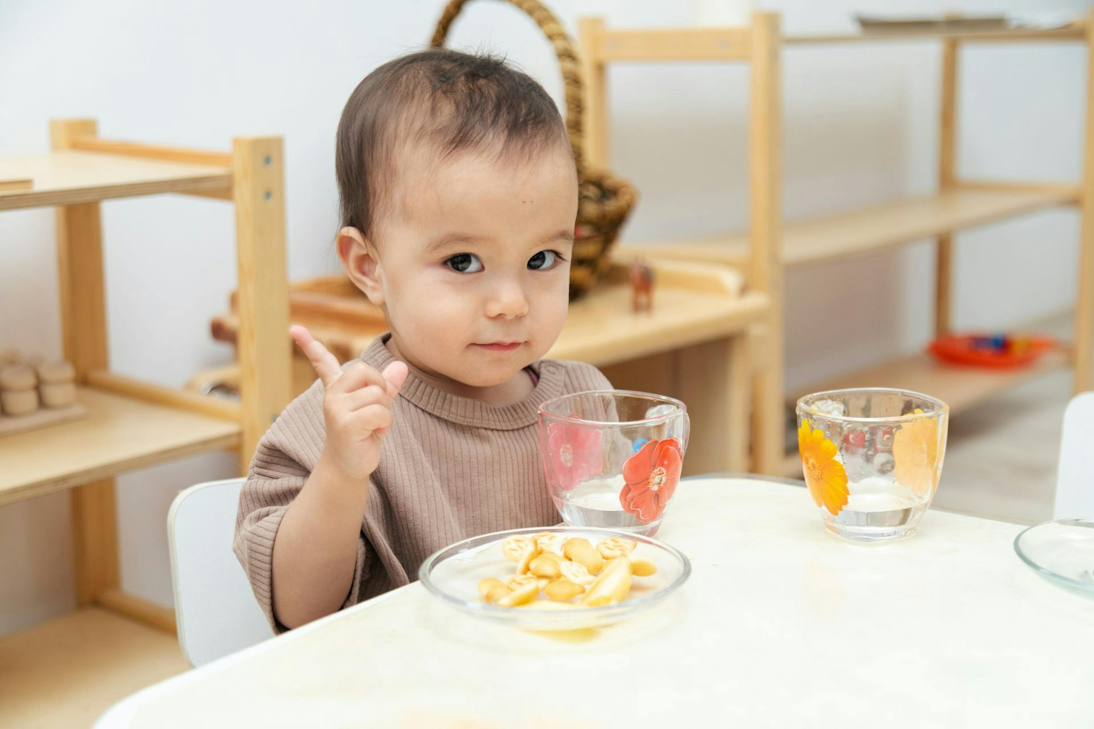 Applying for CACFP in North Carolina: A guide for child care centers